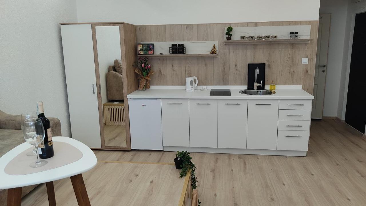 Studio Apartment - A Bit Of Joy Сараево Екстериор снимка